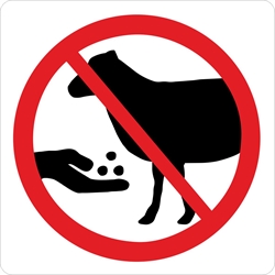 Fodring af får forbudt